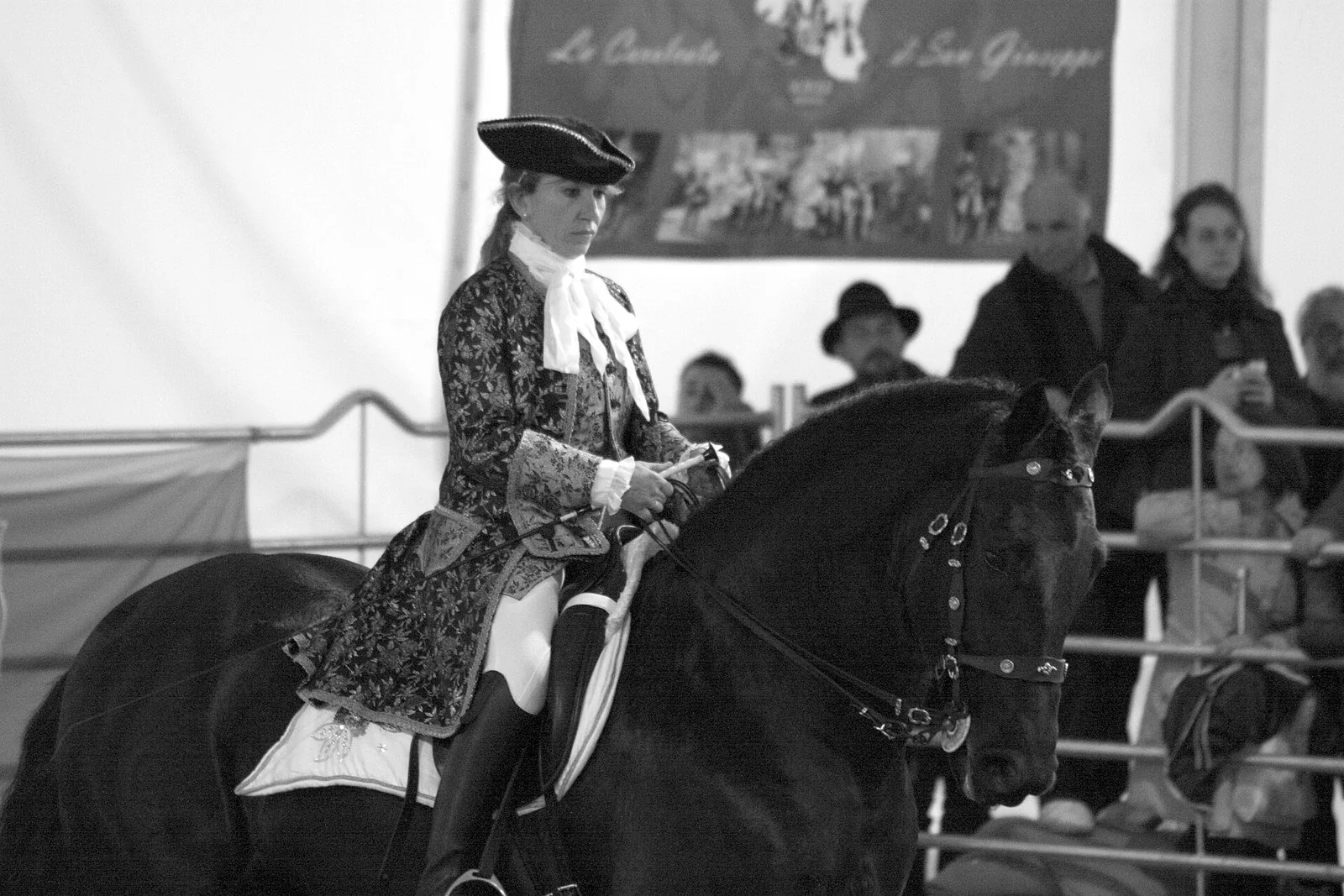 Un cavallo murgese montato in costume durante una manifestazione equestre